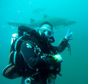 Scuba NY goes swimming with sharks
